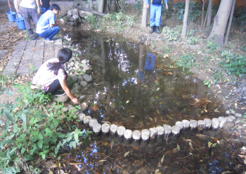 水辺ビオトープ創出