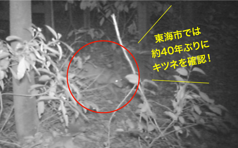 カメラ