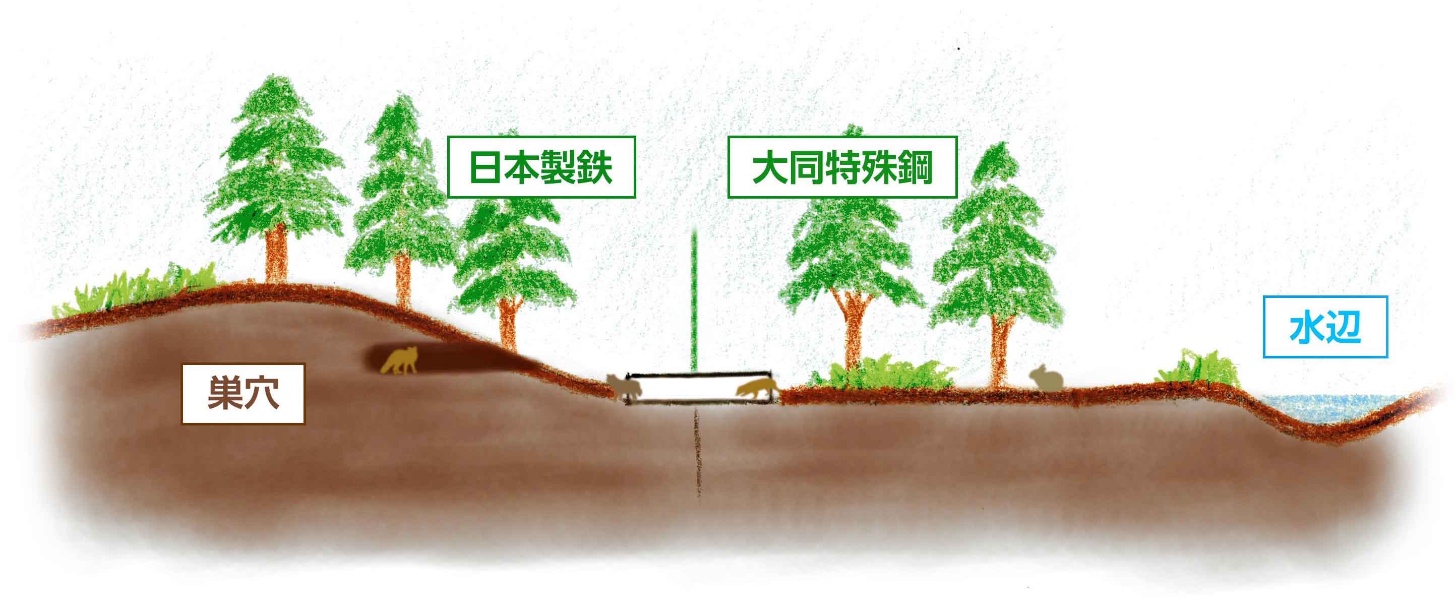 企業の敷地をまたぎ、キツネ・タヌキの生息環境を整備