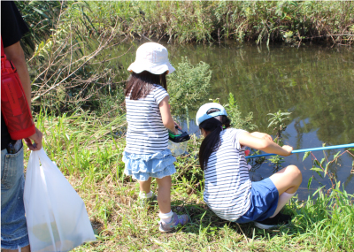 地域住民向けの自然観察会でも人気のゾーン